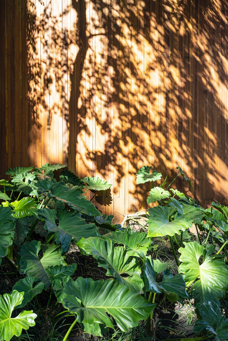 Building Interior with Plants 